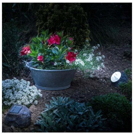Spot LED solaire effet rocher, idéal pour le jardin, discret le jour, efficaces la nuit, Top ventes (1/6)