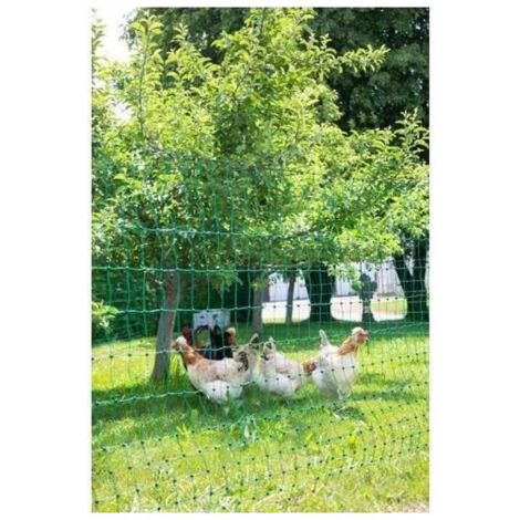 Filet de protection pour poules 50 m – Hauteur 106 cm – Double pointe – Couleur verte – Tissu résistant et durable – Kerbl (1/5)