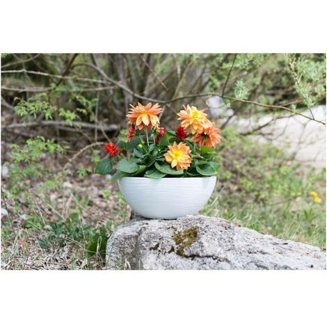 Pot de fleur plastique Vasque Graphit - taille au choix - Eda