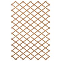Treillis extensible en bois 100 x 200 cm – Traitement autoclave IV – Pour murs et écrans floraux – Résistant aux intempéries – Nature