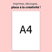 Papier d impression Avery Dennison AUTOCOLLANTS TRANSPARENTS A4 6 FEUILLES