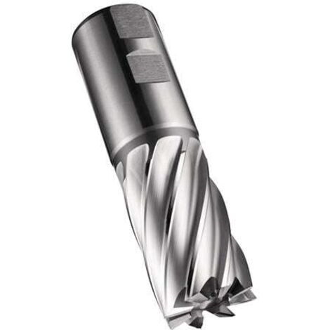 Schaftfräser C247 DIN 844 K D.30mm Schneiden-L.45mm HSS-E-PM Blank 30Grad Z.6 (1/5)