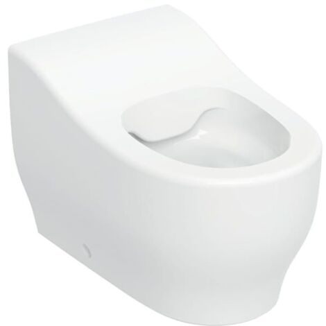 Geberit Bambini Stand-WC für Kleinkinder Tiefspüler Rimfree, Höhe 24cm, Weiß