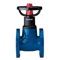Ari-Armaturen EURO-WEDI Absperrventil DN100 PN 6 GG25 bis 130oC Baulaenge F4 m.Anzeigevorr. 100700100-10