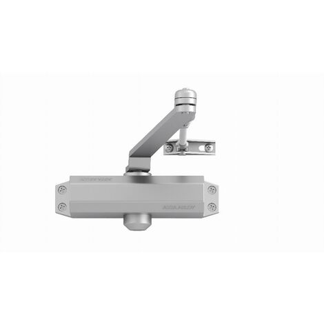 Tesa Assa Abloy DC110-EV1- Chiudiporta Braccio Articolato Argento DC110 Senza Fermo