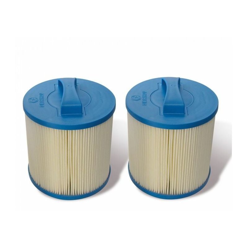 Lot De 2 Cartouches à Ions Argent Hot Springs Pour Une Purification Ef