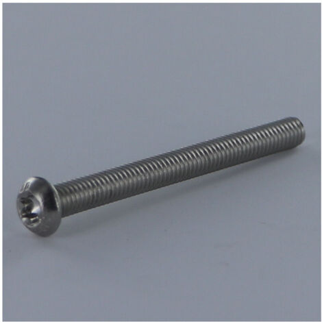 Vis métaux Tête Bombée T55 M12X100 Filetage total Inox A2-20 pièces