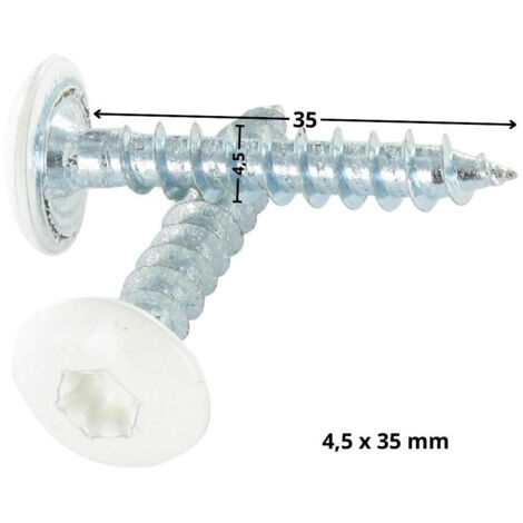 Vis tôle Inox A2 Tête cylindrique large TCL Pozi 4.8X22-10 pièces