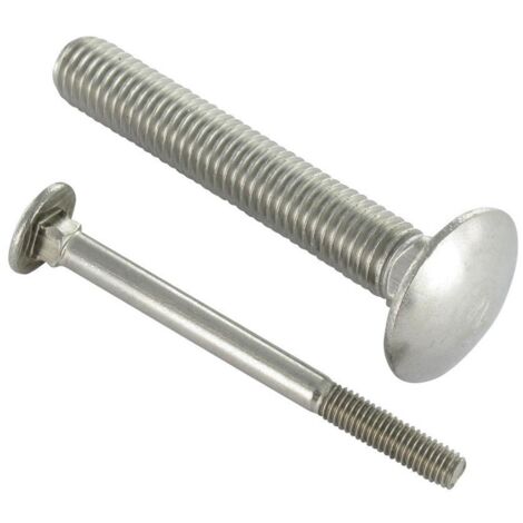 TRCC JAPY tête ronde collet carré Inox A2 M10X100 Filetage partiel-200 pièces