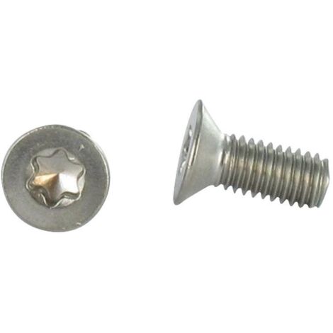 Vis métaux Tête fraisée TF M4X8 TORX T20 ISO14581-30 pièces (1/3)