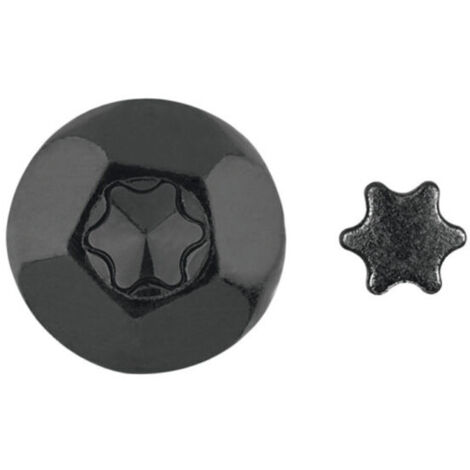 Vis Penture 7X40 Filetée sur 38 TORX T30 Inox A2