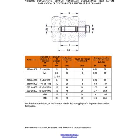 Cheville Laiton 15X38 M12 Conditionnement 1 pi ce