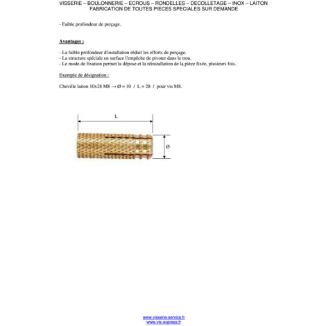 Cheville Laiton 8X23 M6-100 pièces