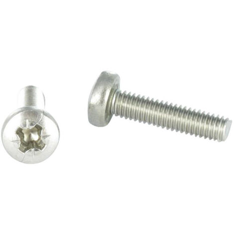 Vis métaux Inox A2 tête cylindrique bombée large Pozi N°2 M5X20-10 pièces