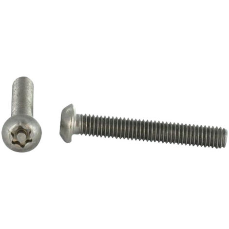 Vis métaux Inox A2 Inviolable Tête bombée TORX T25 avec téton M5X10-30 pièces (1/4)