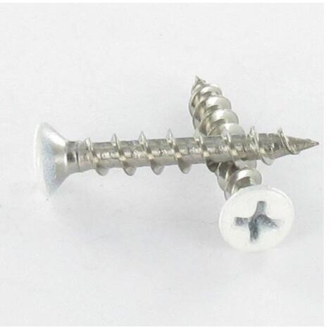 Vis PVC Inox A2 Tête fraisée bombée TFB Phillips 4.2X25 Laqué blanc RAL9010 blanc pur-1 pièce