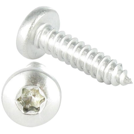 Vis tôle tête cylindrique bombée large 6.3X50 Inox A2 TORX T30-30 pièces