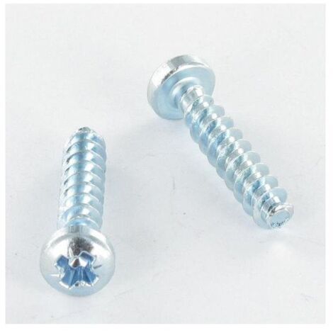 Vis pvc Tête cylindrique bombée TCB Pozi 2 4X12 Filet 30DEGRES Acier zingué blanc-1 pièce