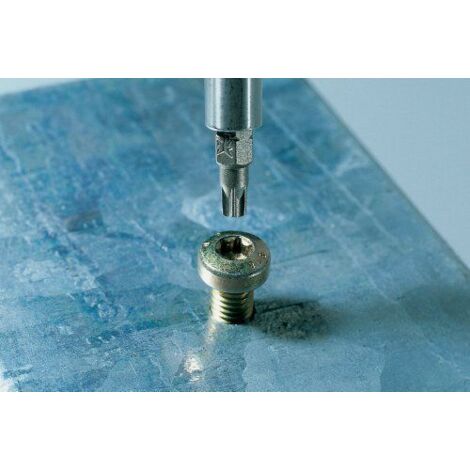 Wolfcraft 2479000 Lot De 3 Embouts Torx 27 Mm – Solides Et Fiables Pour Vos Vis