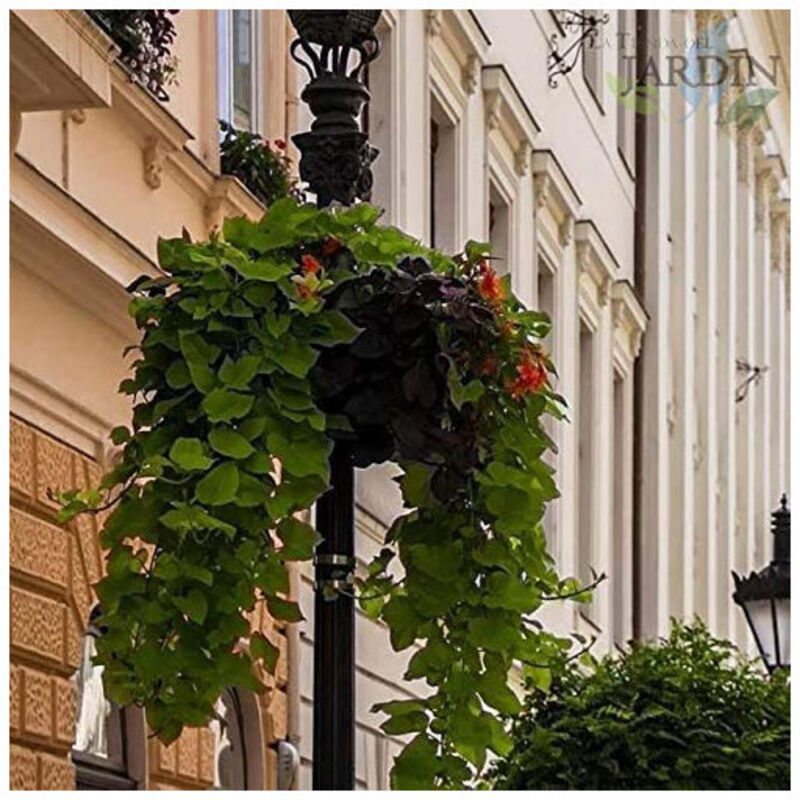 POTS DE FLEURS Suspendus Jardinières Pour Plantes D'intérieur EUR 15,39
