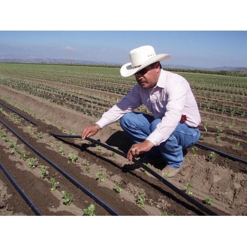 EMagTech Lot De 100 Bagues D'étanchéité Pour Systèmes D'irrigation De 1,27 Cm Avec Raccord Rapide Compatible Avec Gardena 16 X 11 X 2,5 Mm