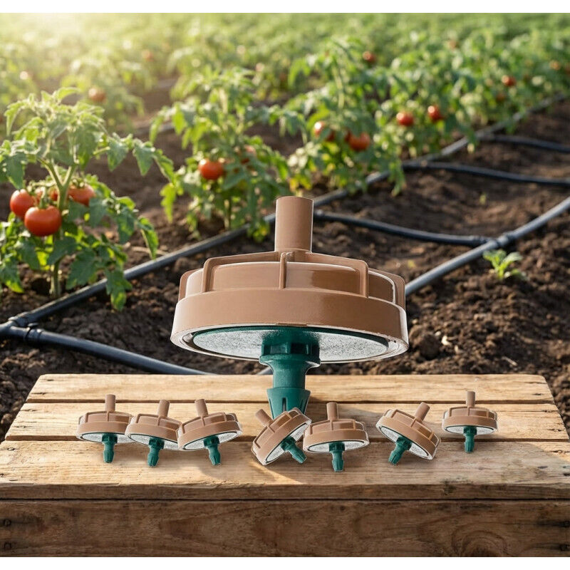 Deshydrateur Fruits Légumes Scelleuse Pro