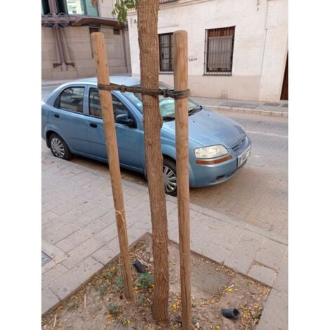 Lot 10 x Poteau en bois, Tuteur d'arbre avec pointe de 150 cm, diamètre 8 cm
