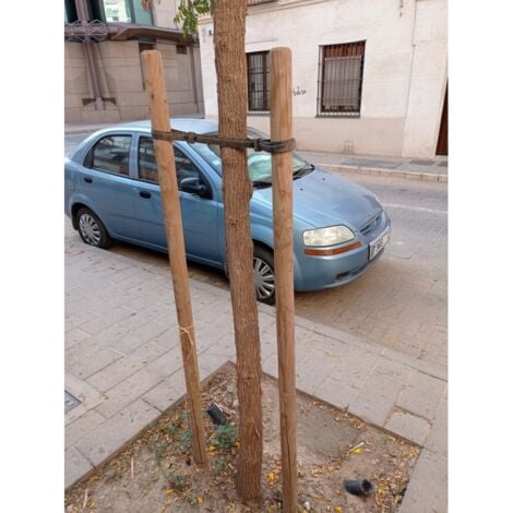 Lot de 10 Tuteur en bois 200 cm Ø 5 cm  Tuteurs avec Pointe  Poteaux en Bois  Piquets de Fixation  Piquets de Jardin