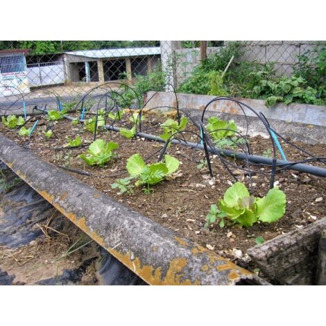 200 Bouchons Terminal Irrigation 4/7mm - Pour Tuyau Goutte à Goutte
