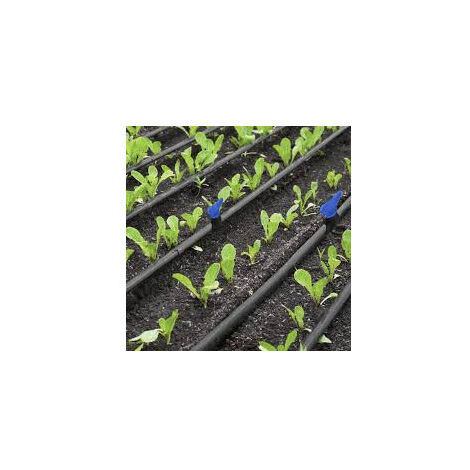 Tuyau Goutte A Goutte 16mm Robinet D'arrêt 16 Mm Suinga - 10 Pièces - Vanne De Dérivation Pour Irrigation Goutte à Goutte - Raccord Direct Tuyau 16 Mm Tuyau Goutte A Goutte 16mm Robinet D'arrêt 16 Mm Suinga - 10 Pièces - Vanne De Dérivation Pour Irrigation Goutte à Goutte - Raccord Direct Tuyau 16 Mm
