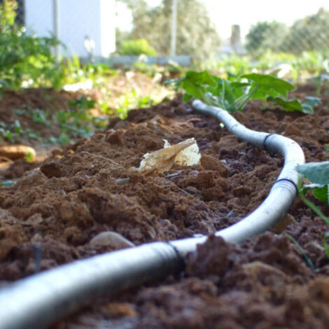 Tuyau Polyéthylène 16mm Suinga 100m - Tuyau Irrigation Agricole 4 Bar Goutte à Goutte Noir