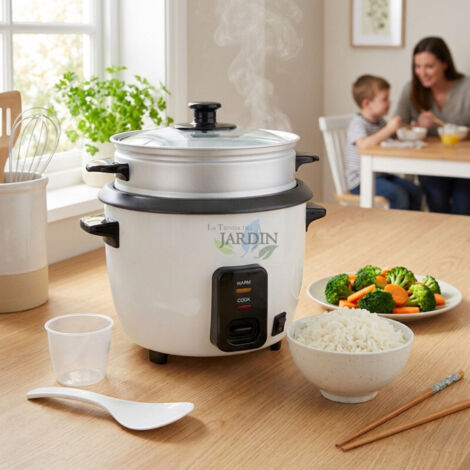 Mini cuiseur à riz pour 1 personne cuiseurs à riz chauffe-vapeur
