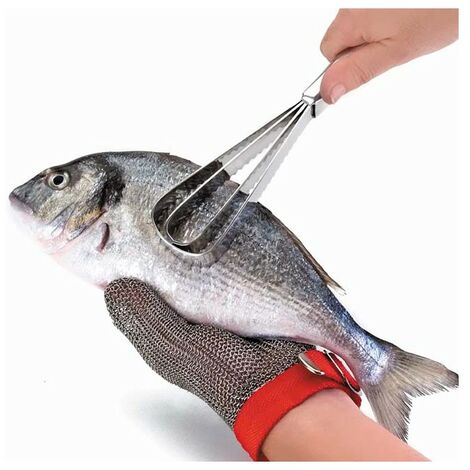 Écailleur à poisson, sifflet, écailleur à poisson en acier inoxydable, outil pour écailler le