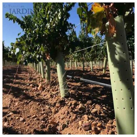 Todo Cultivo Protector De Malla Para árboles 60 Cm. De Altura. 50 Uds Protector Indicado Para Zonas Calurosas Donde La Planta 8471992216229