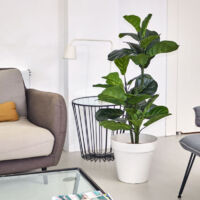 INSANYJ 2 Plantes Artificielles Intérieur Extérieur 35cm Avec Pots Céramique Blanche - Faux Palmier Et Monstera