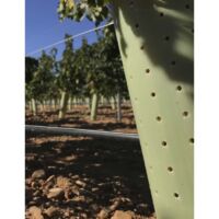 20 Tubes Protecteurs Pour Arbres - 60cm | Anti-rongeurs Et Insectes | Polypropylène Respirant