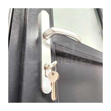 Porte de service 1/2 vitrée - Gris - Tirant Droit - H.205 x l.80 cm
