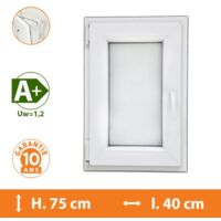Fenêtre 1 Vantail Blanc - Tirant Gauche - H.75 x l.40 cm