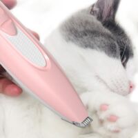 Mini Tondeuse A Poils D Animaux Rechargeable Pour Raser Les Pieds Et Les Poils Des Chiens