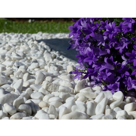 Kieselstein in glänzendem Weiß 10-15 - Pack 10 M² - 20 Säcke - 400 kg