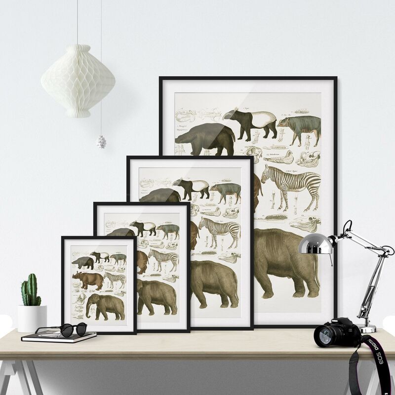 Éléphant Zèbre Lion Girafe Rhino Noir Blanc Animal Toile Tableau Murale Art  Peinture Affiche Moderne Tableaux Decoration Murale 40 × 60 cm × 3 Sans  Cadre : : Cuisine et Maison