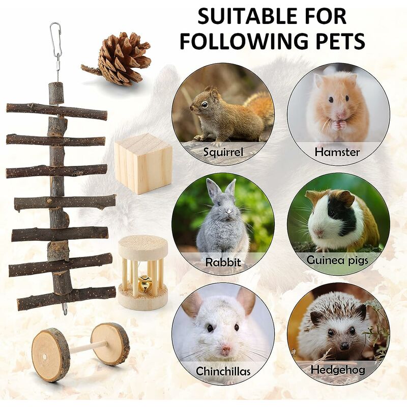 jouet lapin nain jouet pour lapin nain lapin jouet hamster hamster Generic Lot de 11 jouets pour petits animaux à mâcher 