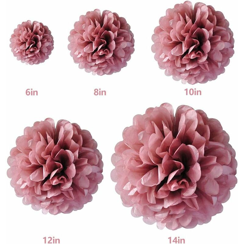 vlovelife 25,4 cm Papier de soie Pom Pompons en papier à fleurs pour mariage fête danniversaire de douche de bébé Décorations Lot de 10 argent 