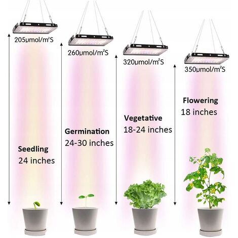 XVZ Lampe /à 130 LED pour plantes Spectre complet Col de cygne r/églable /à 360 /° 3//6//12 h - Lampe de croissance pour fleurs, l/égumes, plantes en pot, maison Cycle de commutation automatique