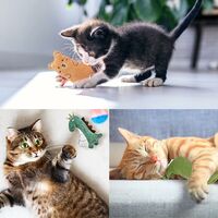 Jouet Chat 5pcs Jouet Herbe A Chat Jouet Peluches Pour Chat Interactif Catnip Jouets A Macher