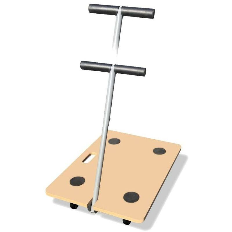 Chariot De Transport TOOLCRAFT TO-9972441 – Charge Max 250 Kg, Neuf
