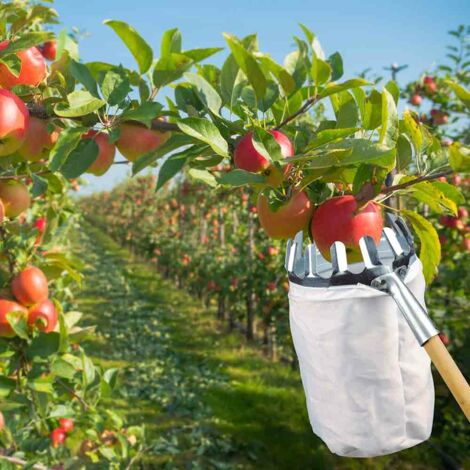 Cueille fruits métallique XXL - Gamm vert