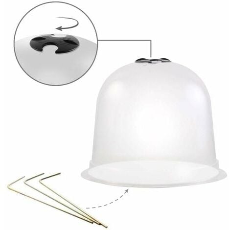 Cloches à salades plastique - Lot de 6