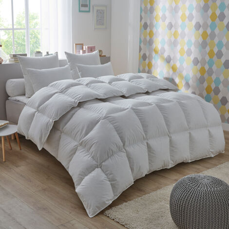 Couette 50% duvet de canard Proneem - TEMPÉRÉE - 240/260 - DODO (1/3)