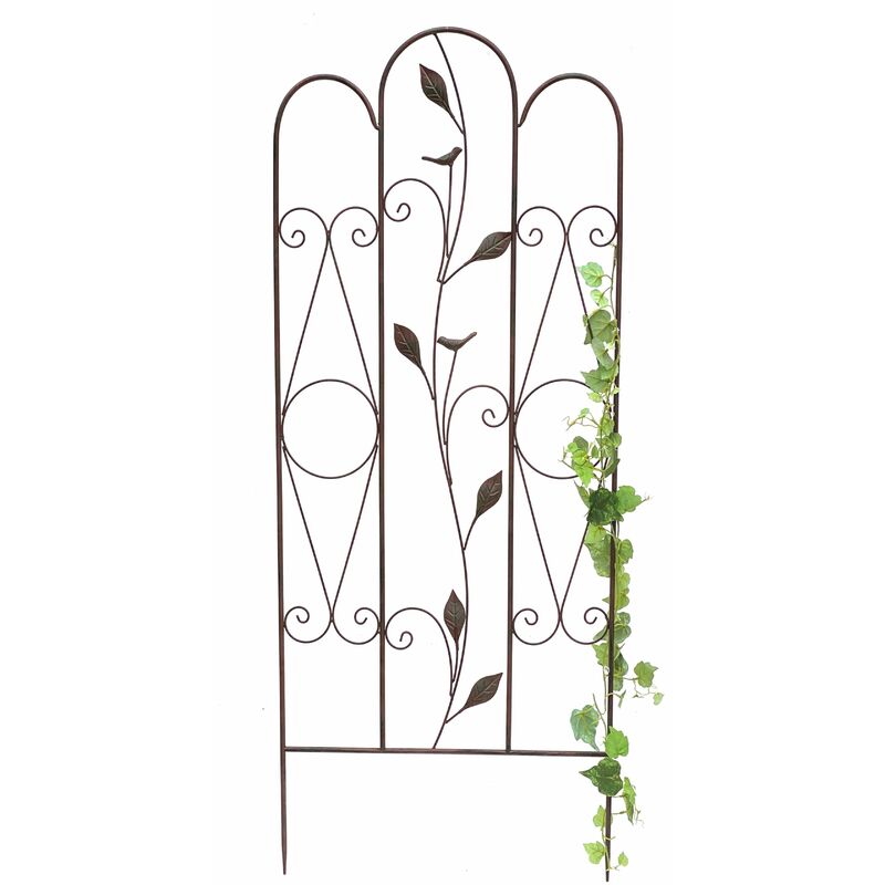 Treillis Extensible En Osier 80x120 Cm - Support Pour Plantes Grimpantes, Décoration Jardin - 7